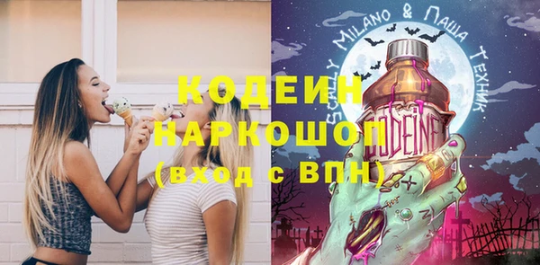 МДПВ Елизово
