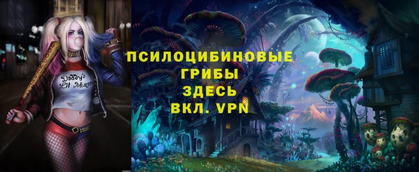 гашиш Дмитриев